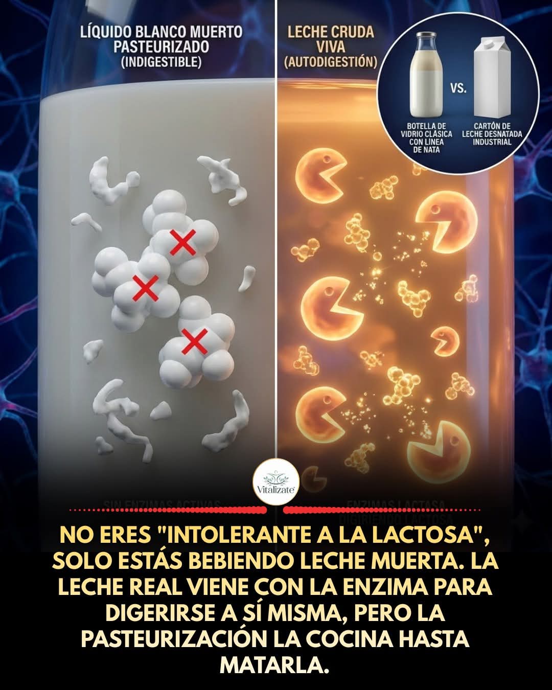 leche, pasteurizada