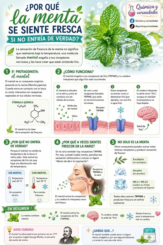 menta