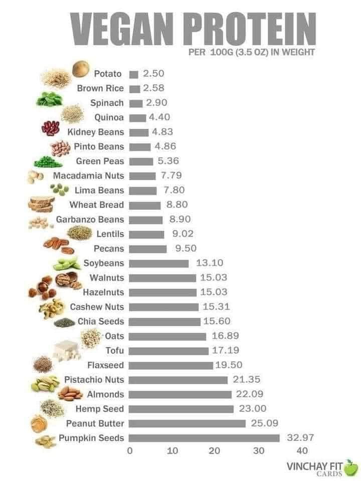 proteina, vegetal