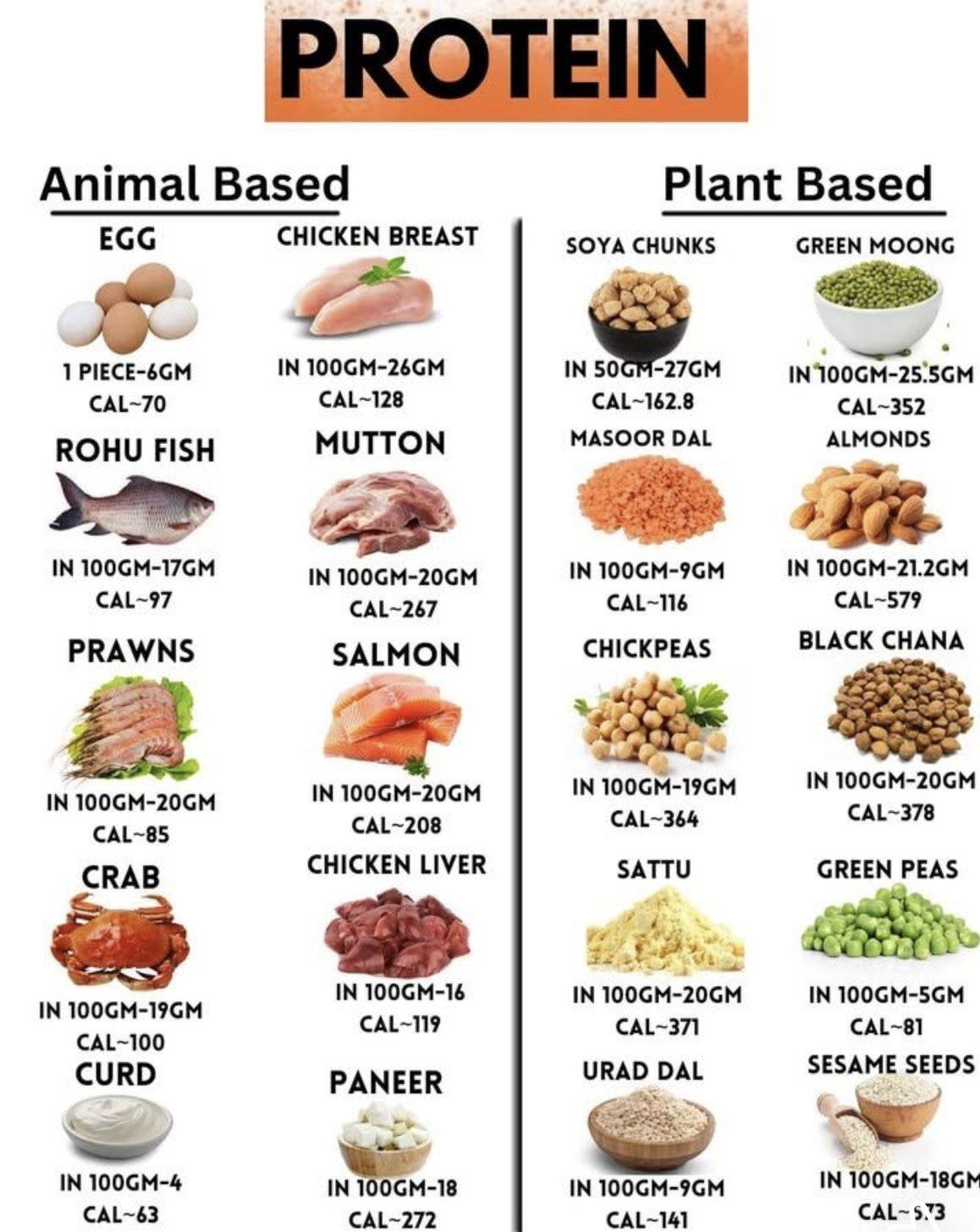 proteina