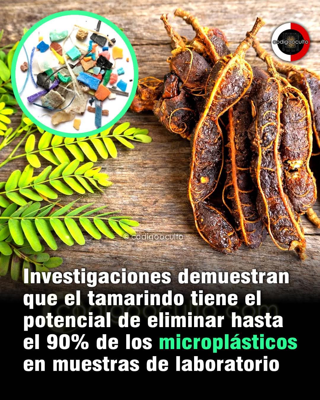 tamarindo
