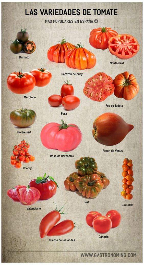 tomate