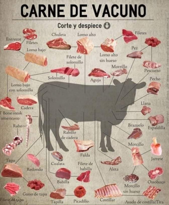 vaca