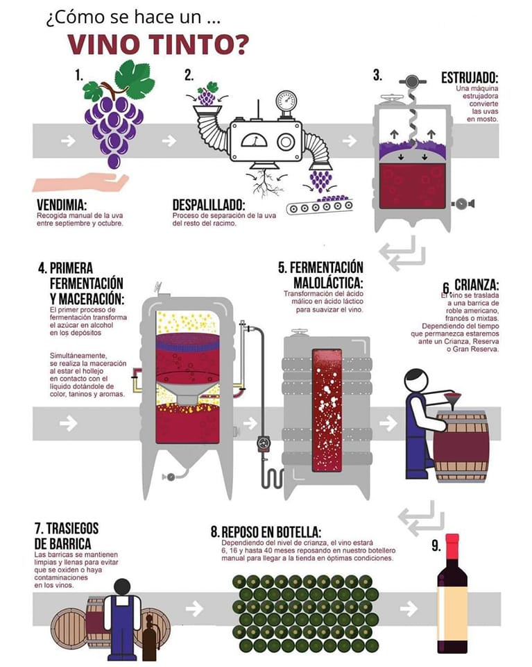 vino, tinto