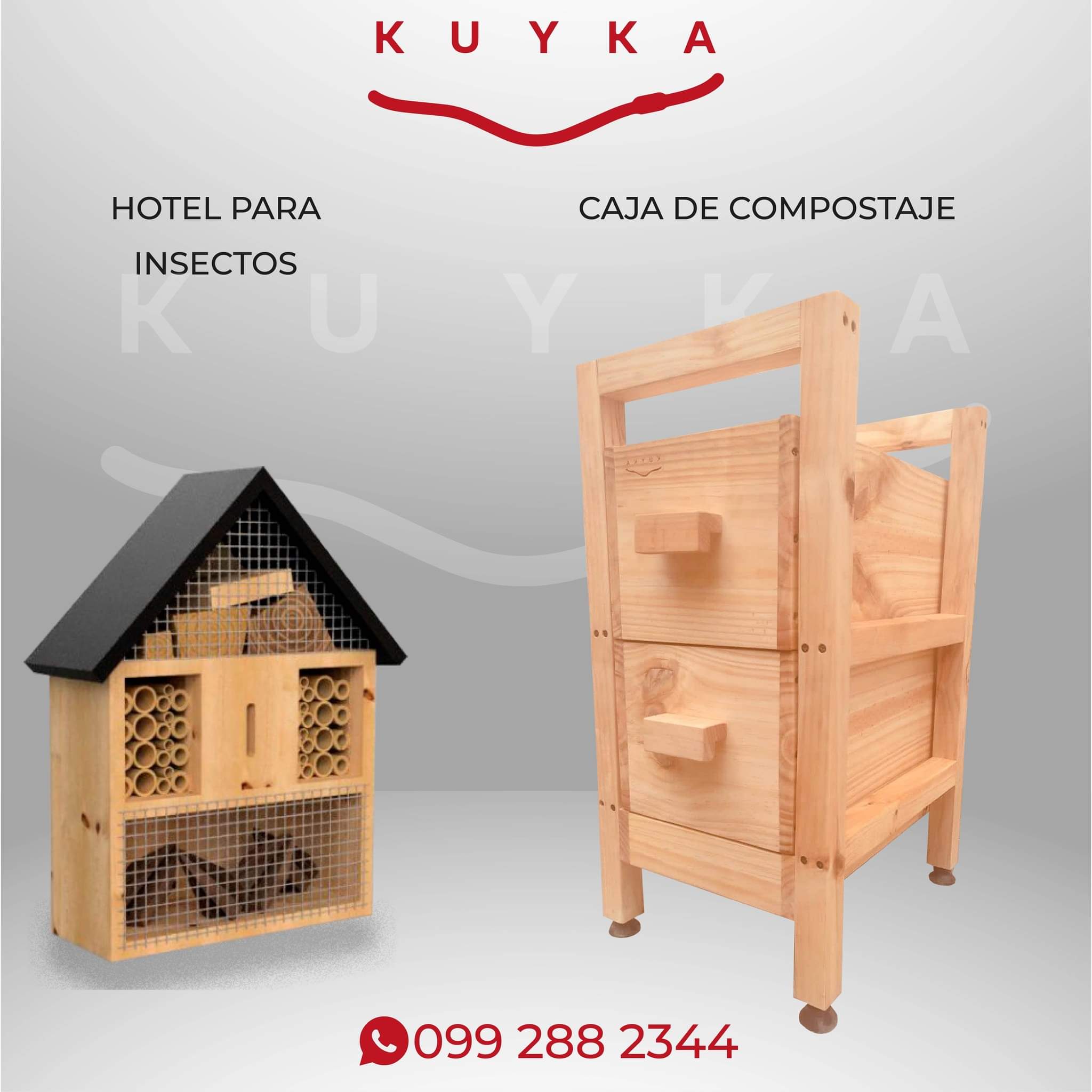 hotel, insectos