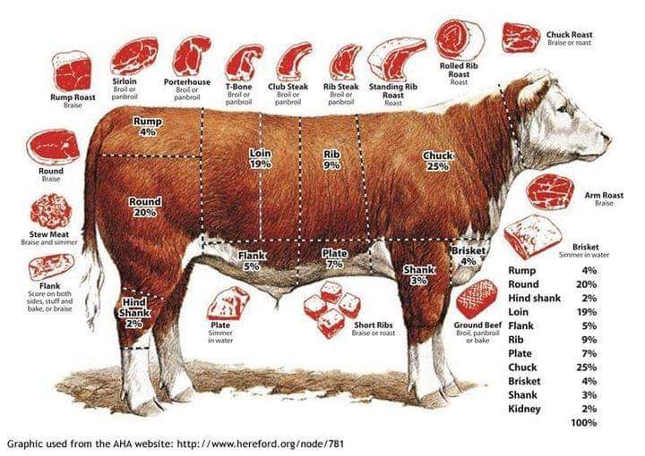 vaca, carne