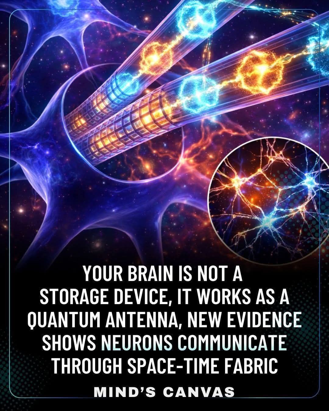 cerebro, antena