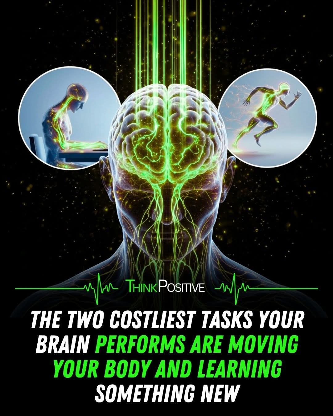 cerebro
