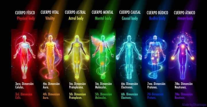 cuerpos