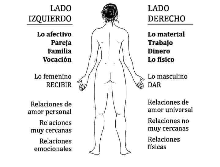 humano, lados