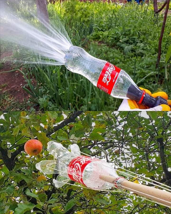 botellas, plasticas