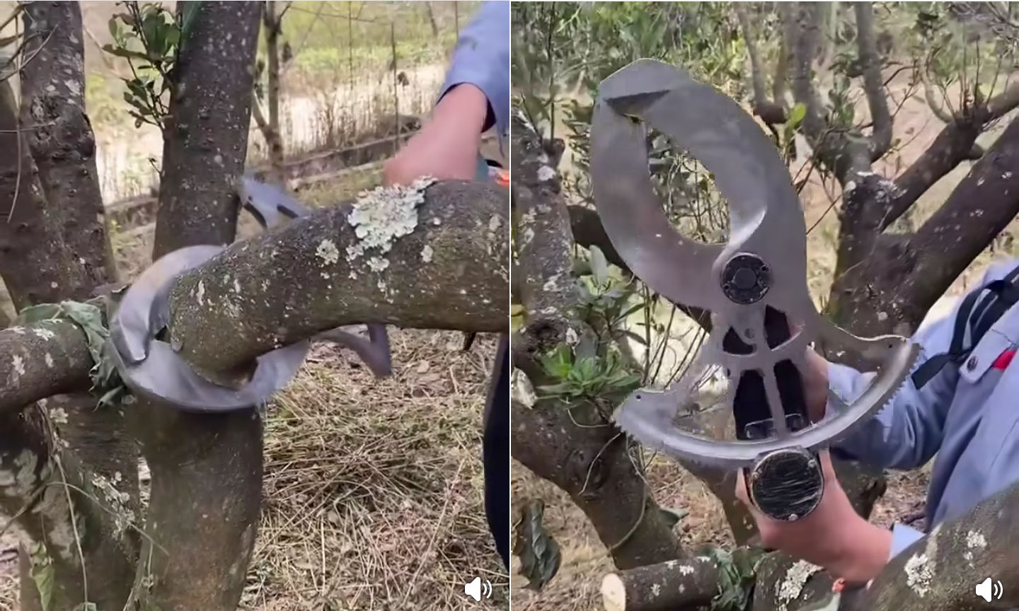 podadora, mecanica