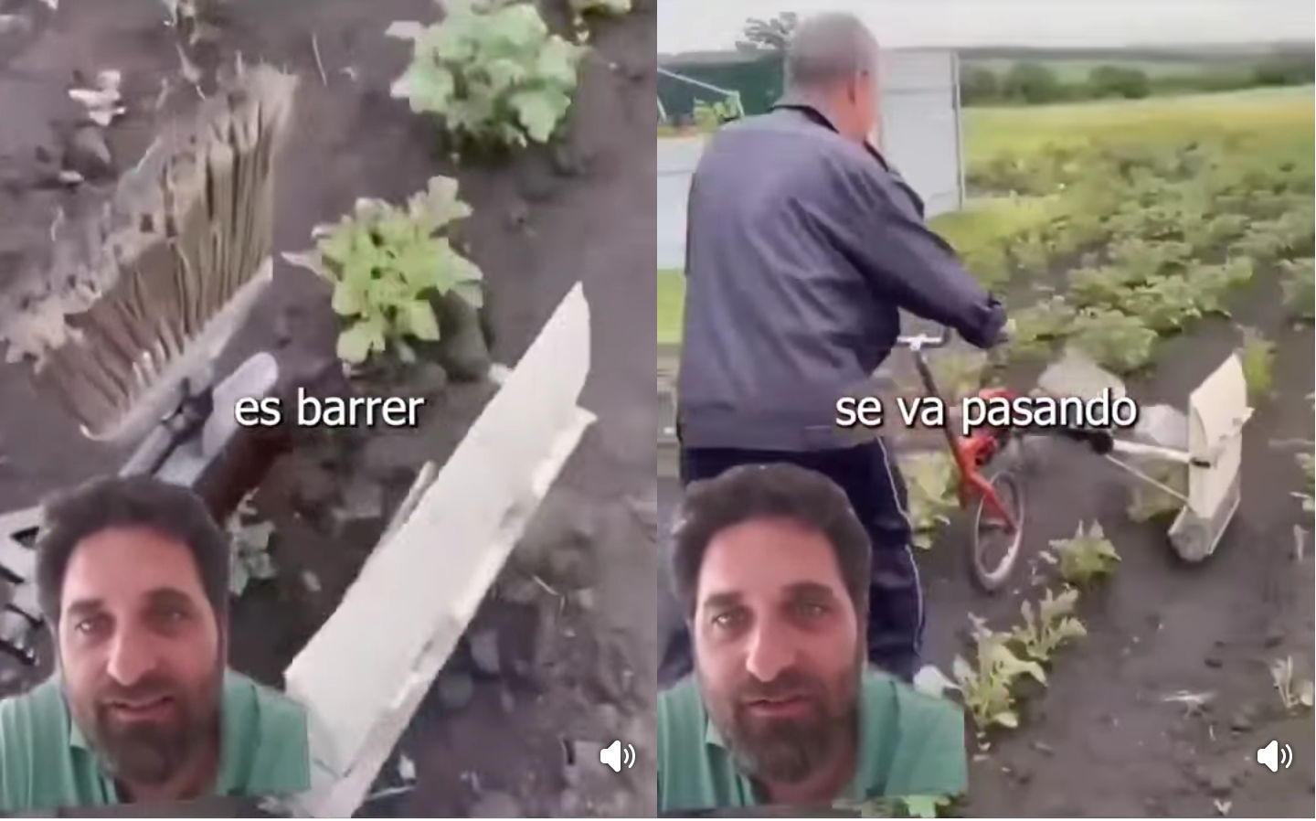 barredora, plagas