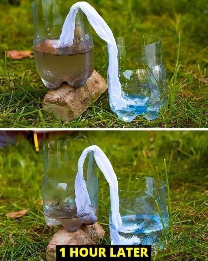 filtro, agua