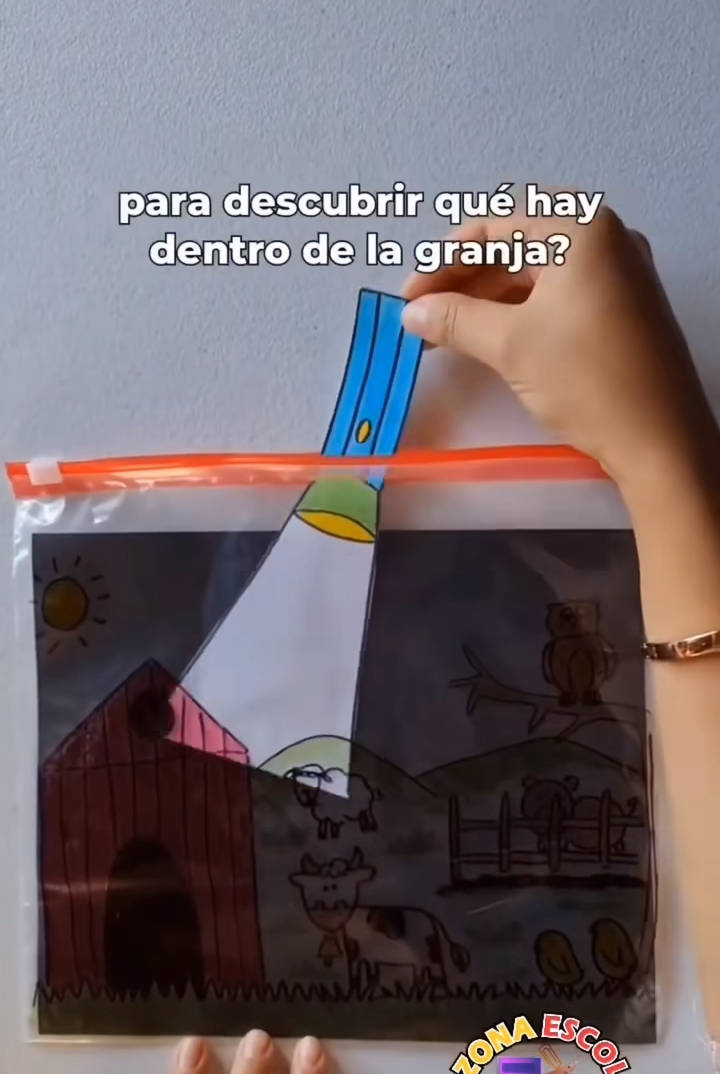 linterna, ziploc