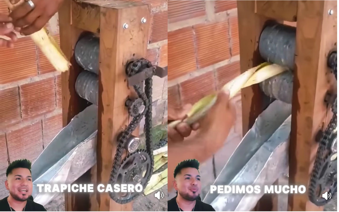 mini, trapiche