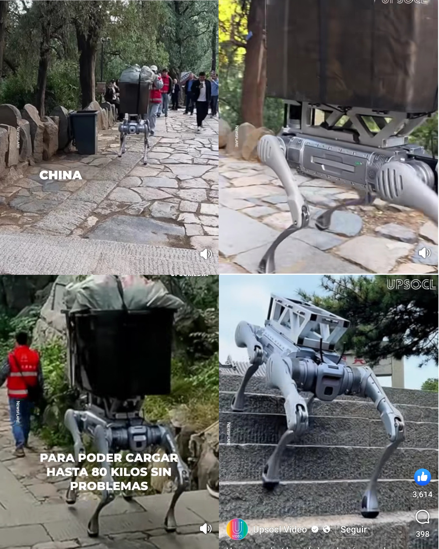 perro, robot