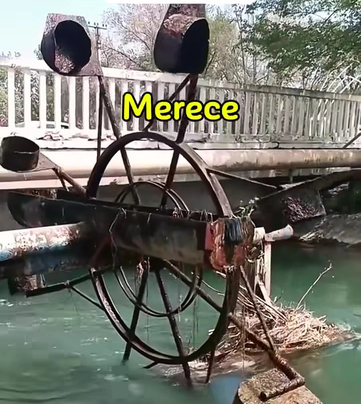 turbina