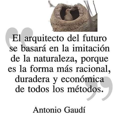 arquitecto