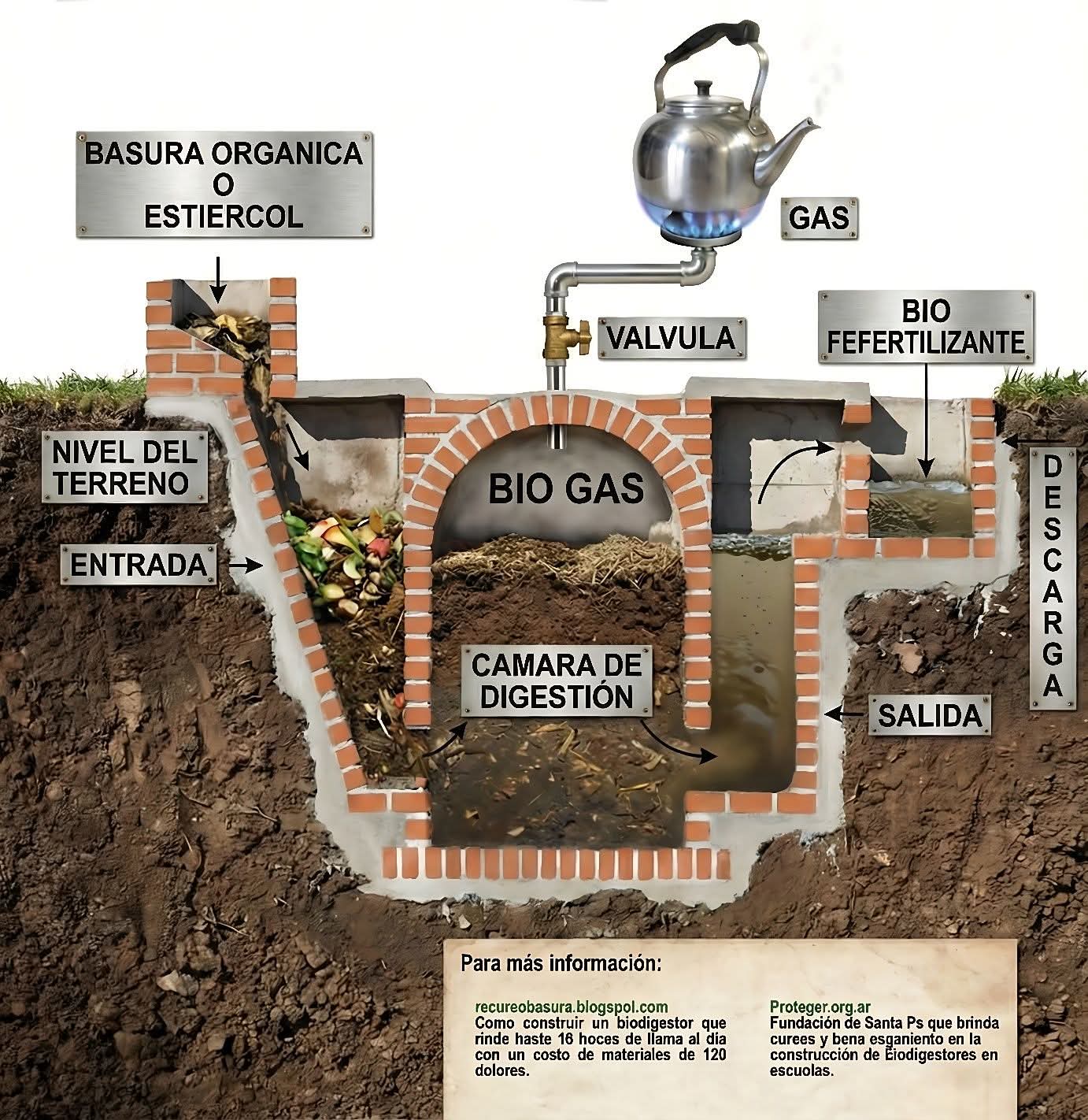 biodigestor