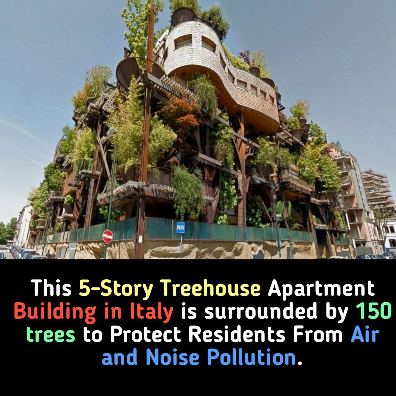 casa, arbol