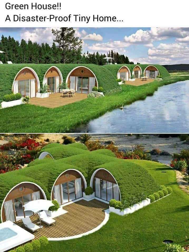 casa, verde