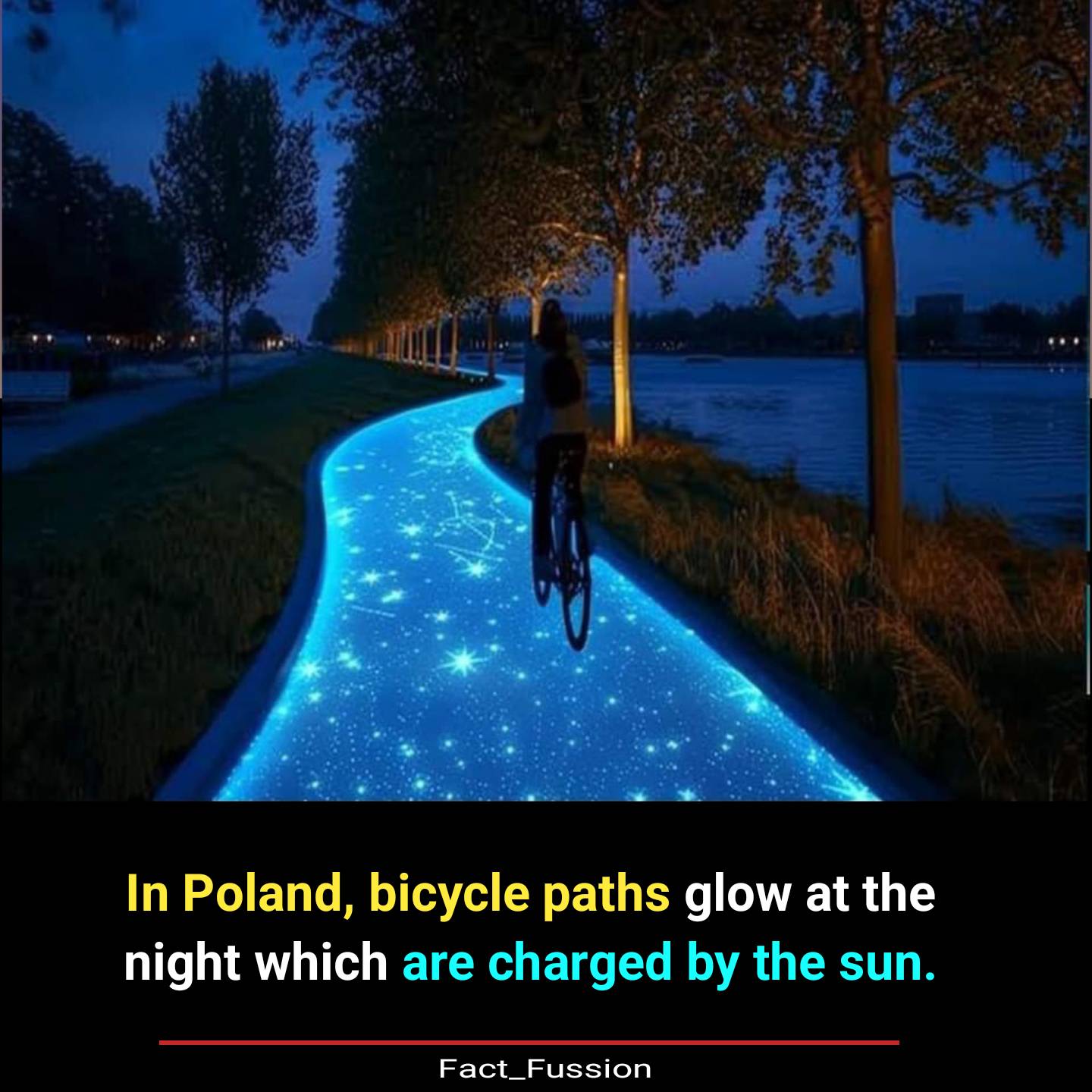ciclovia, nocturna