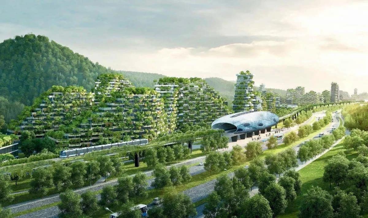 ciudad, bosque