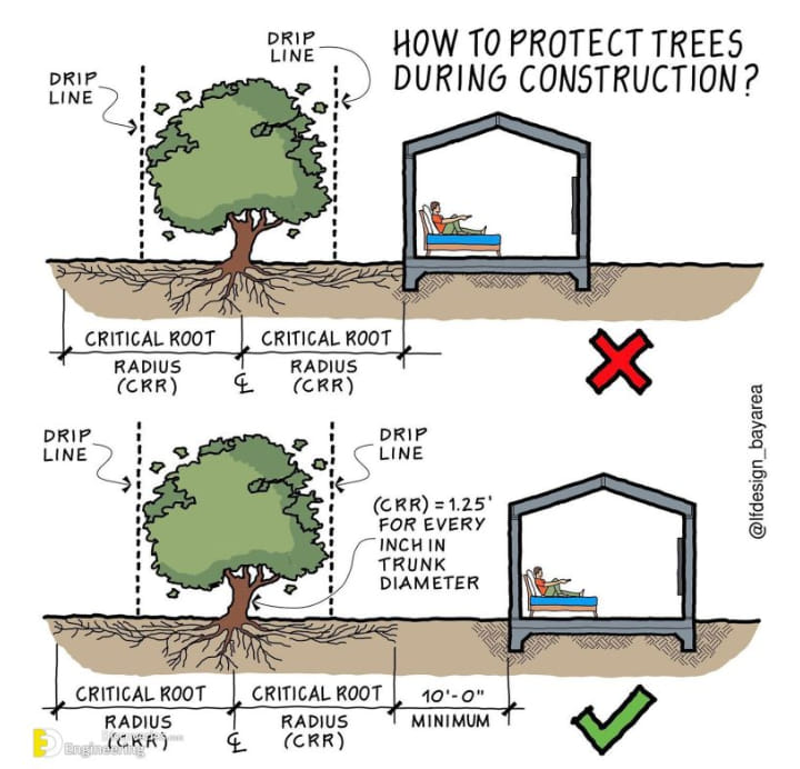 construccion, arbol
