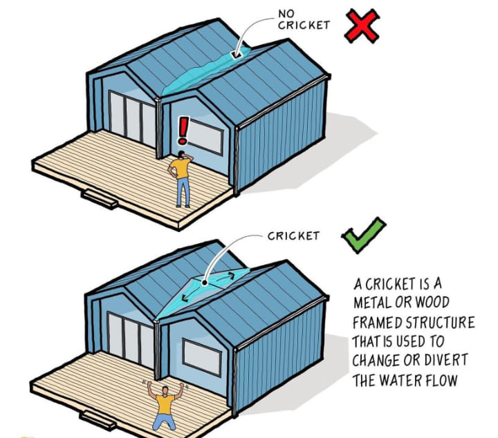 cricket