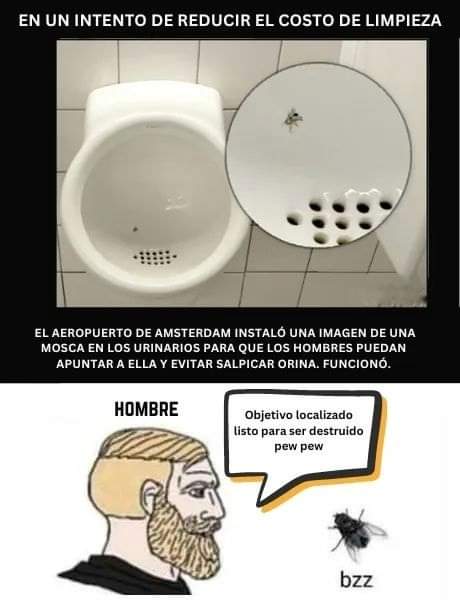 mosca, urinario