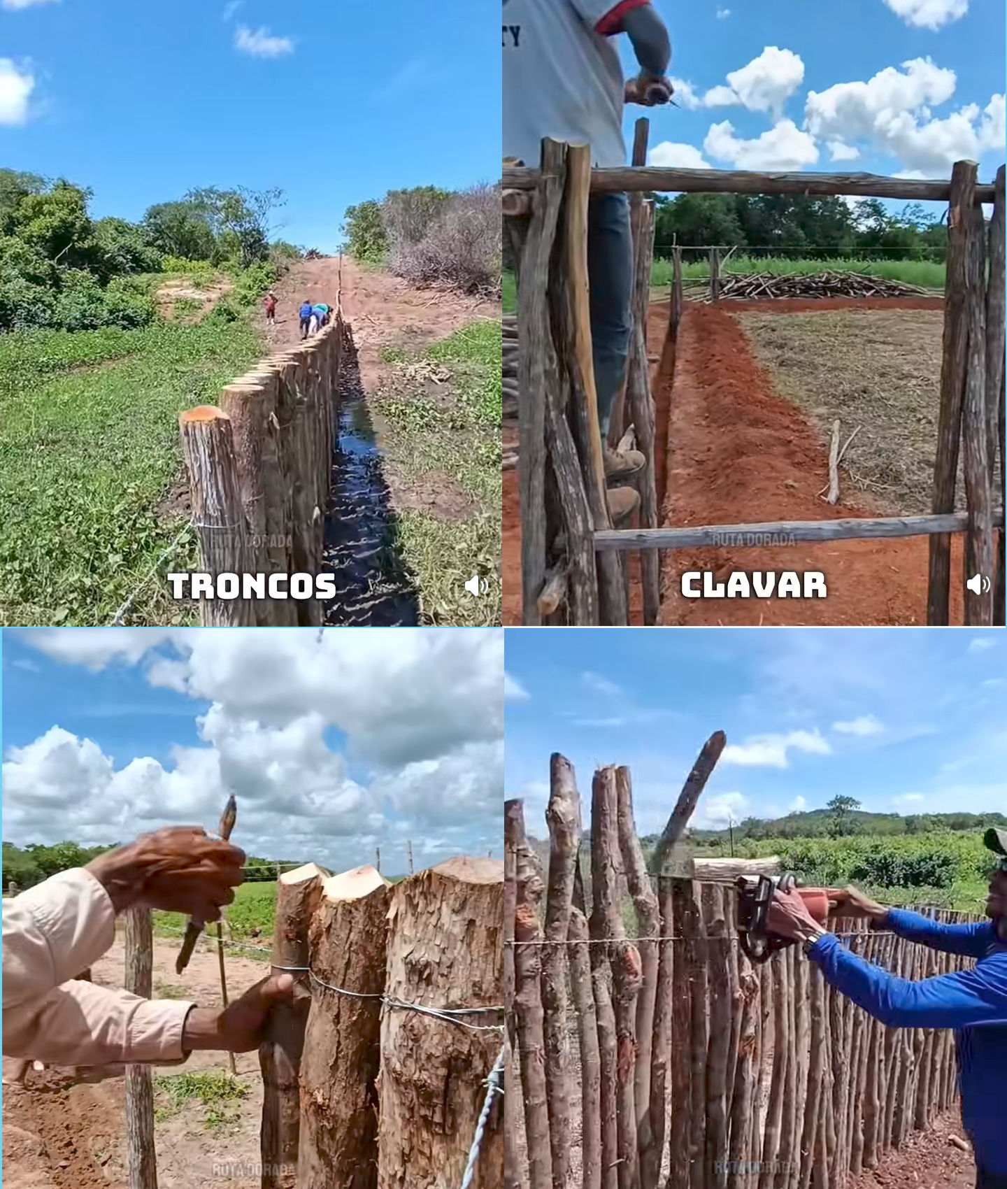 pared, troncos