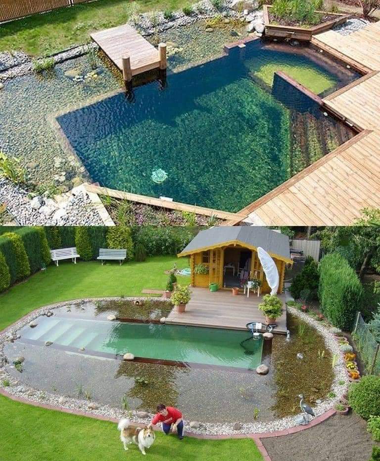 piscina, natural