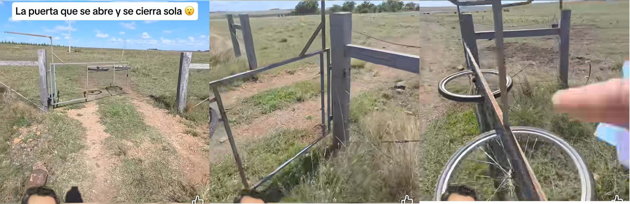 puerta, automatica