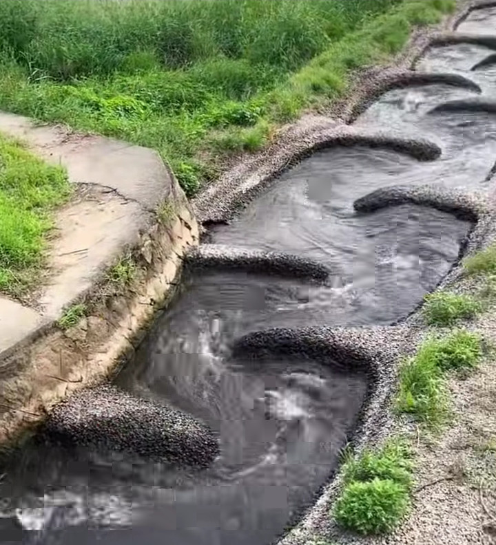 purificar, agua