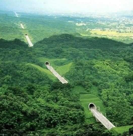 tunel