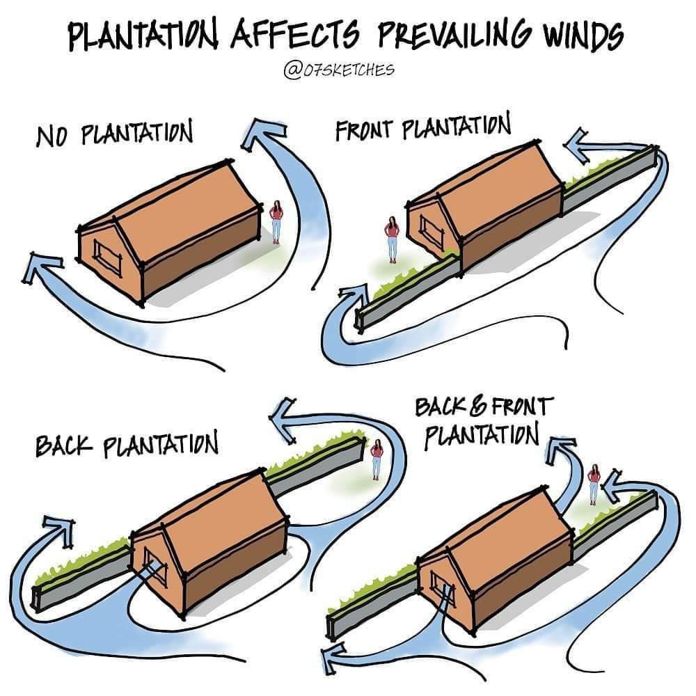 viento