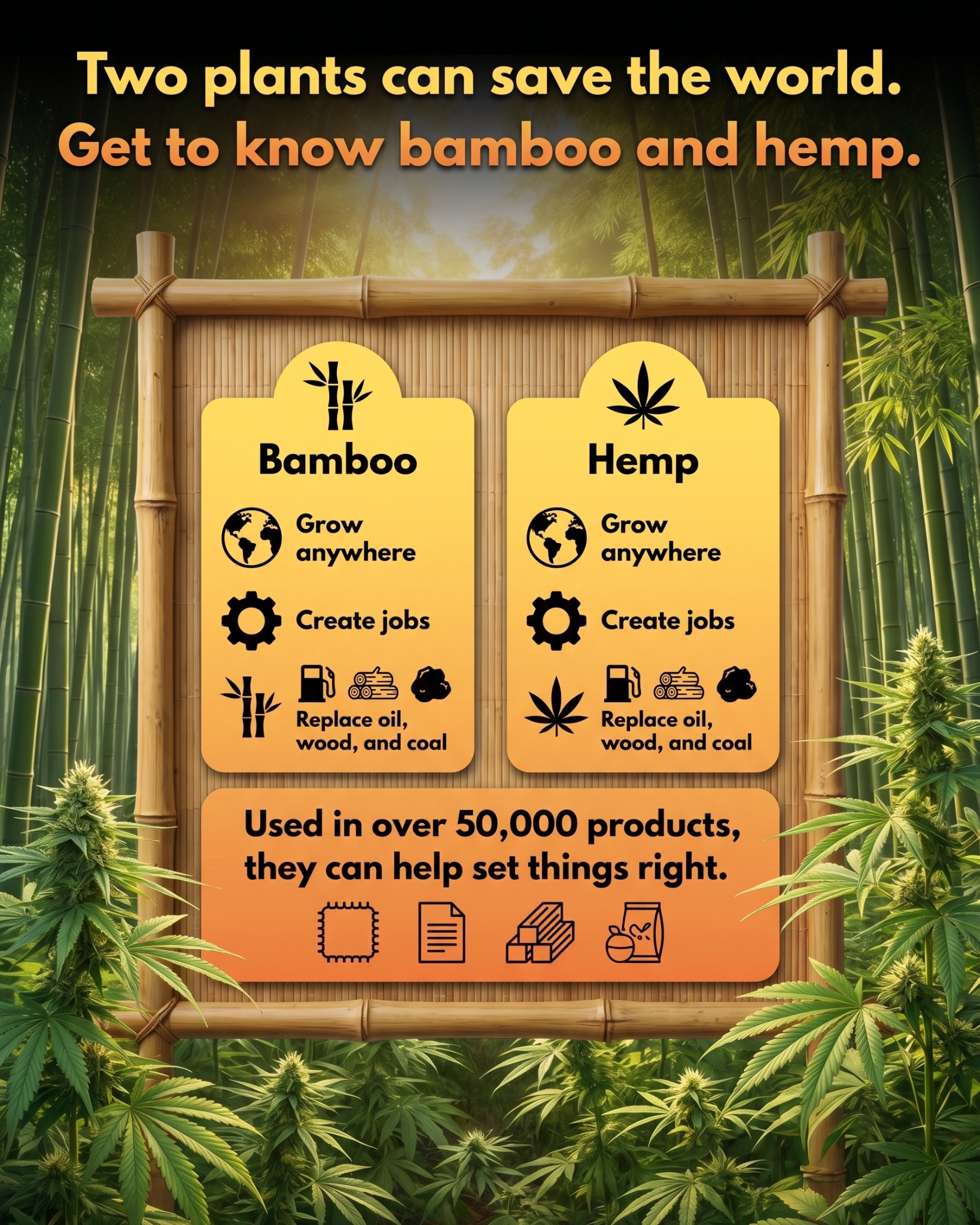 bambu, canamo