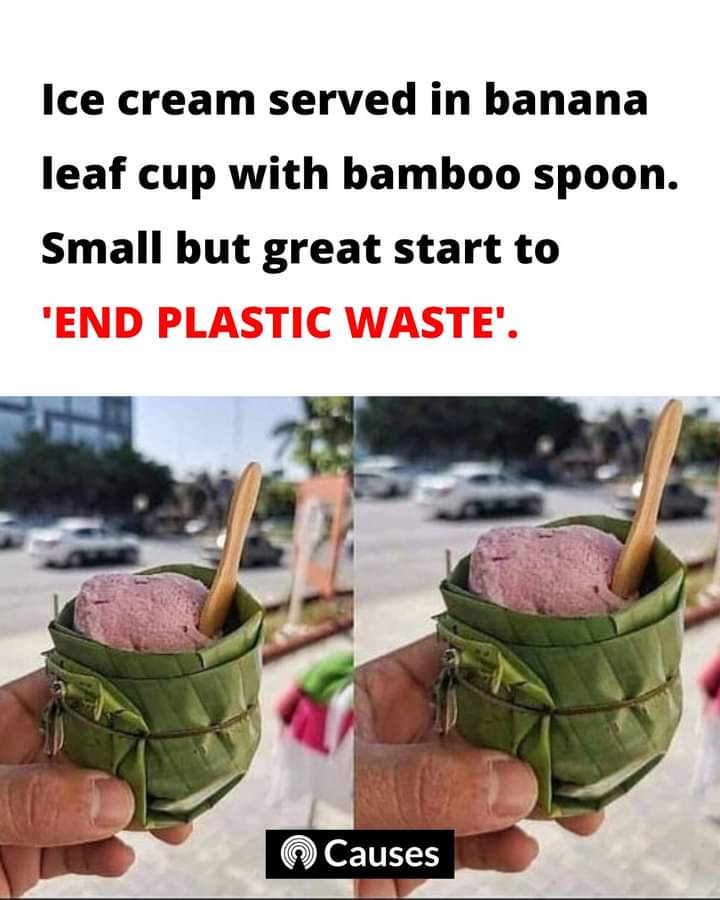 banano, hoja