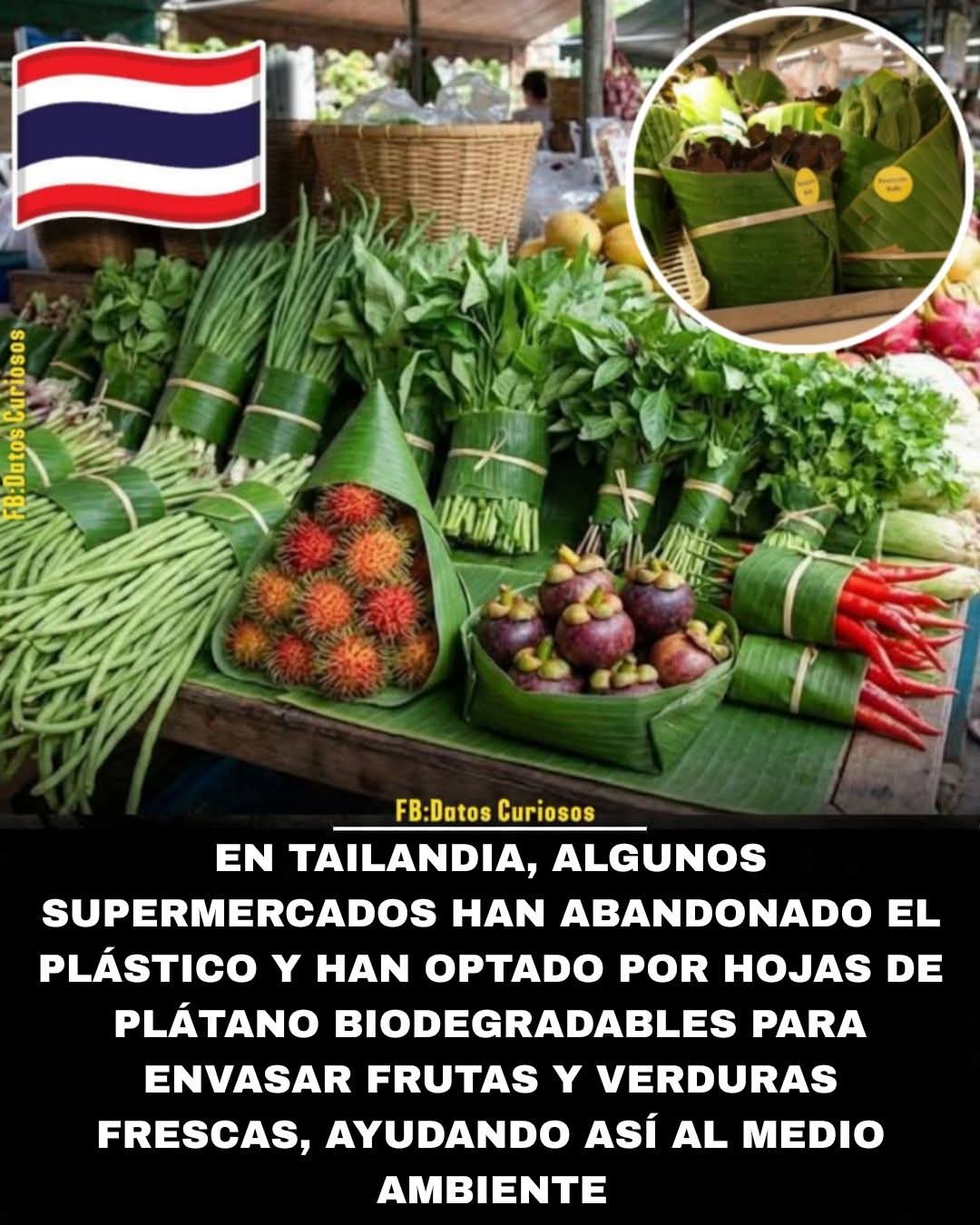 hojas, platano