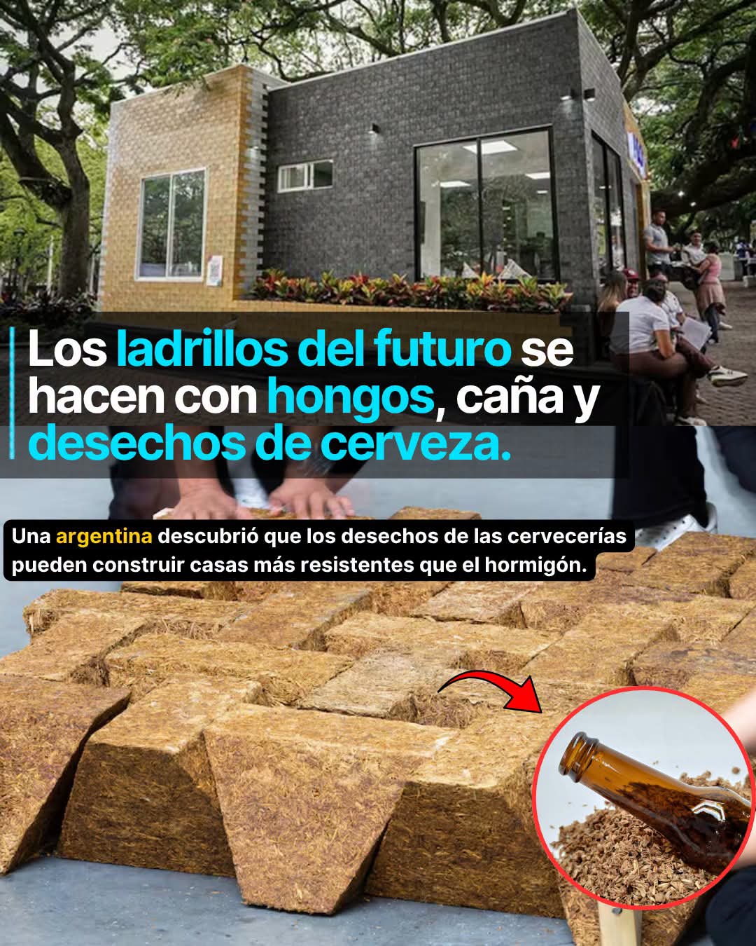 ladrillo, cana