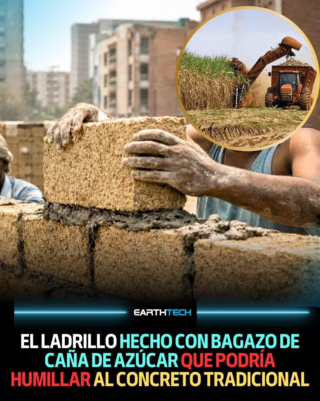 ladrillo, cana