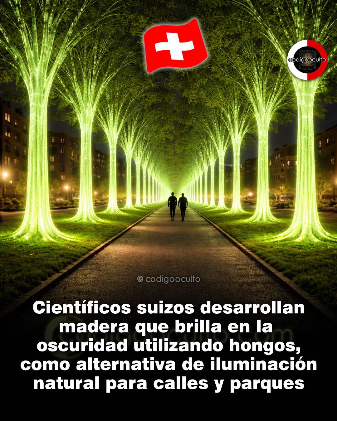 madera, brillante