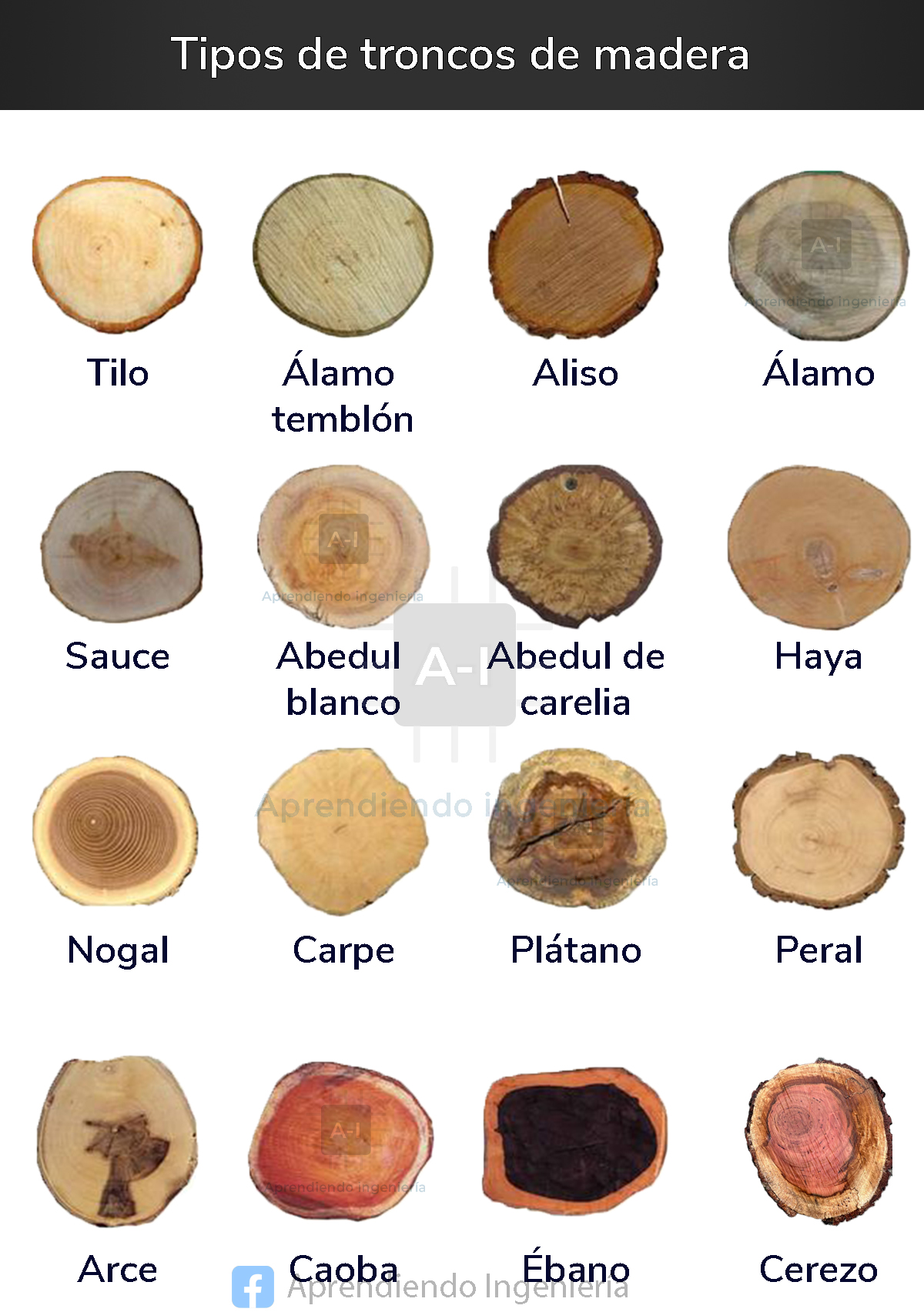madera, troncos