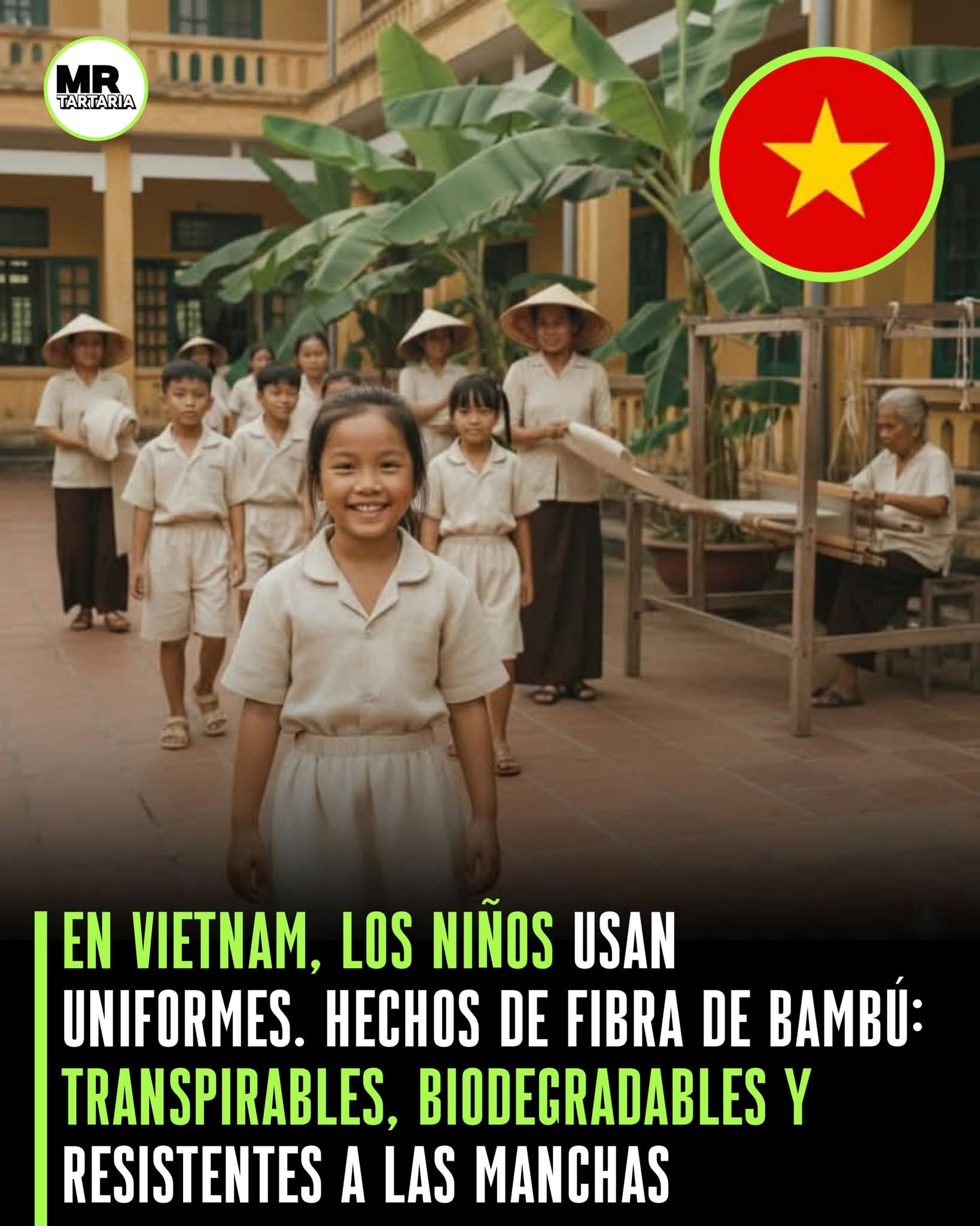 uniforme, bambu