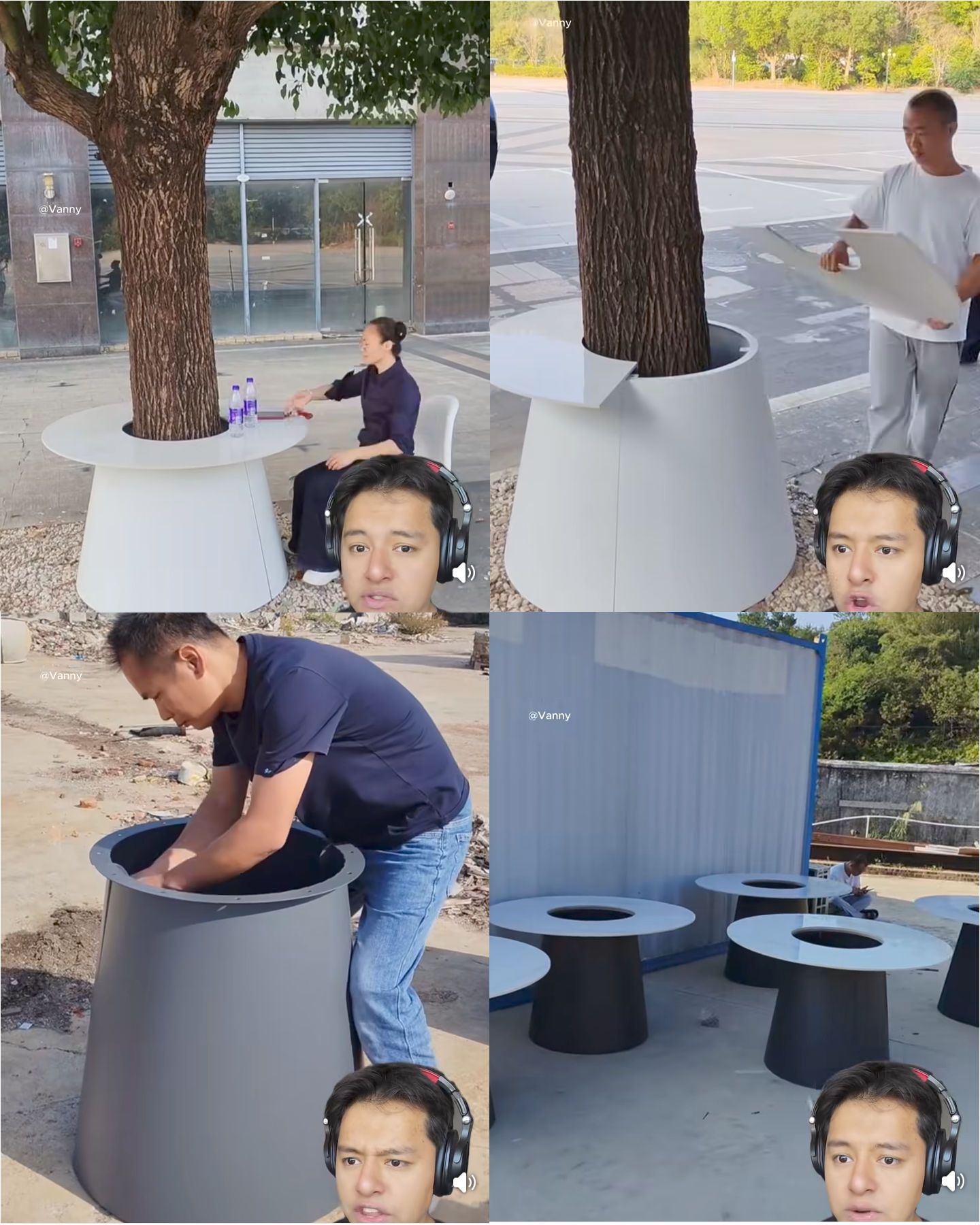 mesa, arbol