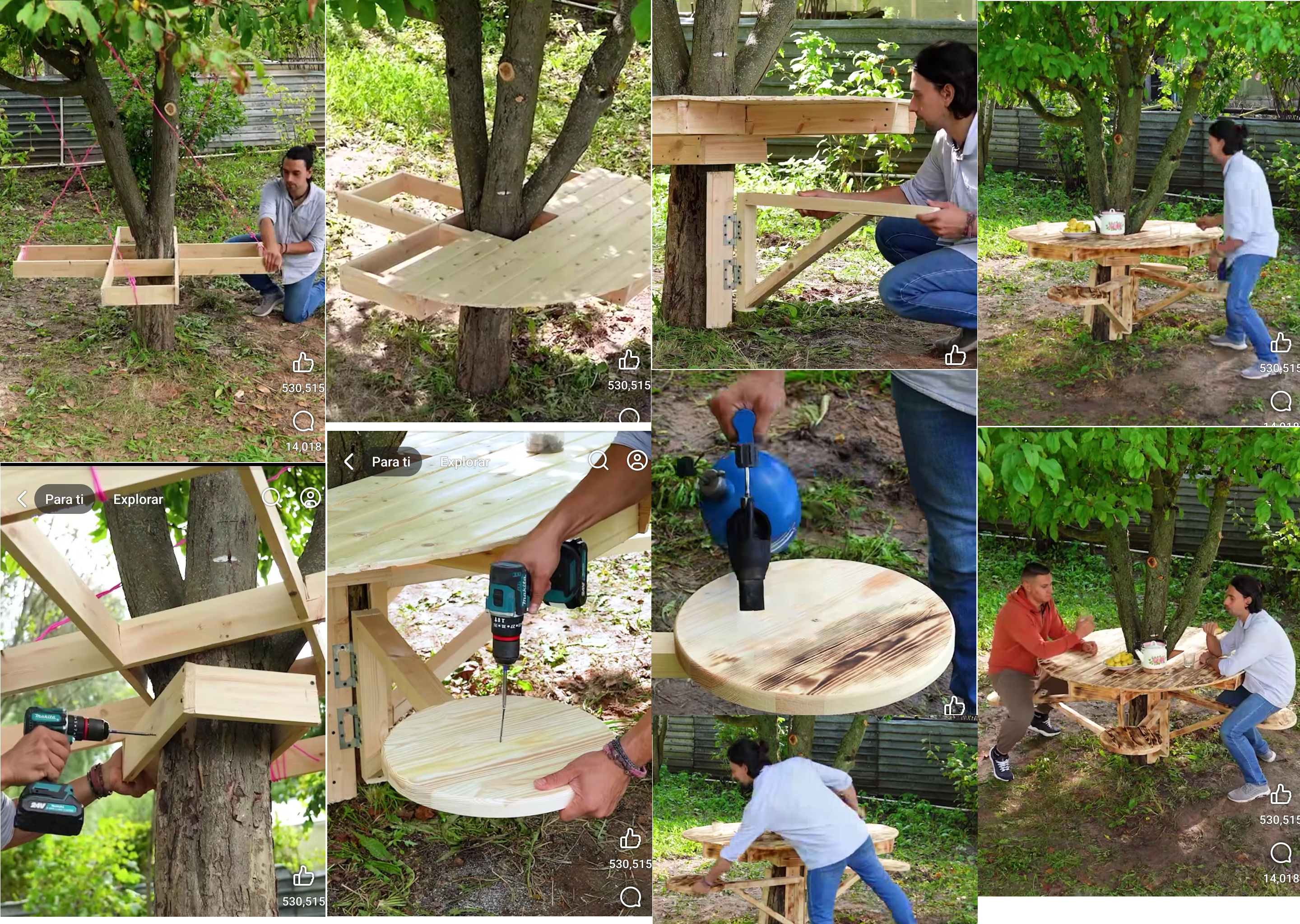 mesa, arbol