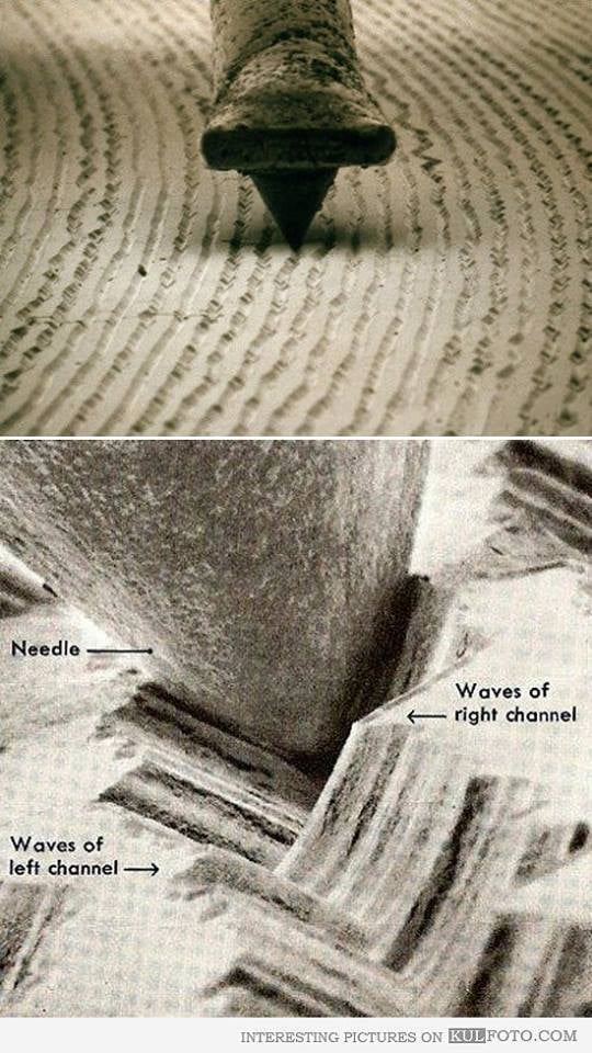 vinyl
