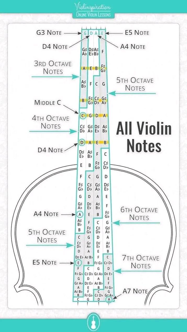 violin, notas