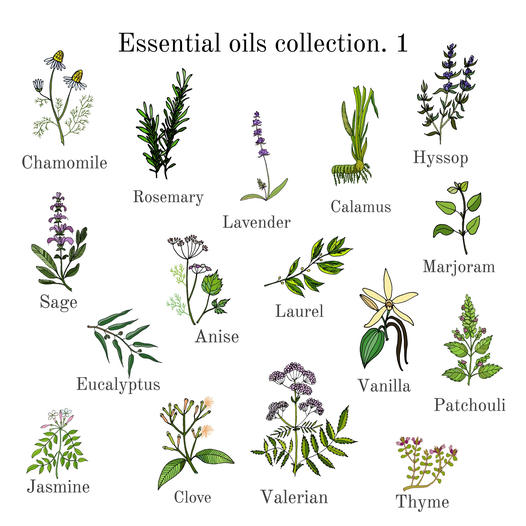 aceites, escenciales